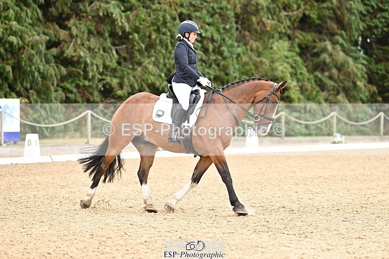 250808A-111212-00409 - 092-Bella.Balian-Beechwood.Joey