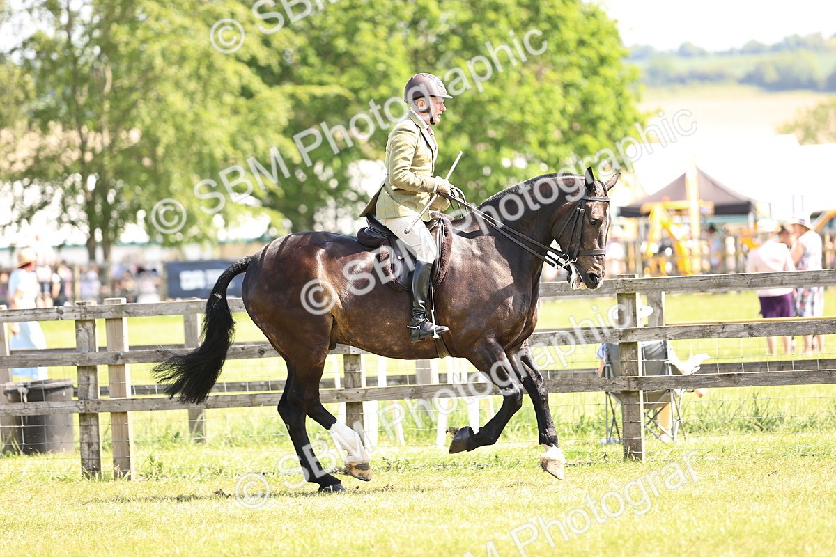 SBM_13706 - Class 77 - LIHS BSHA Rising Star Cobs
