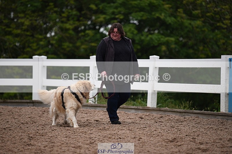 240518A-124730-01195 - Cls 5 Best Purebred