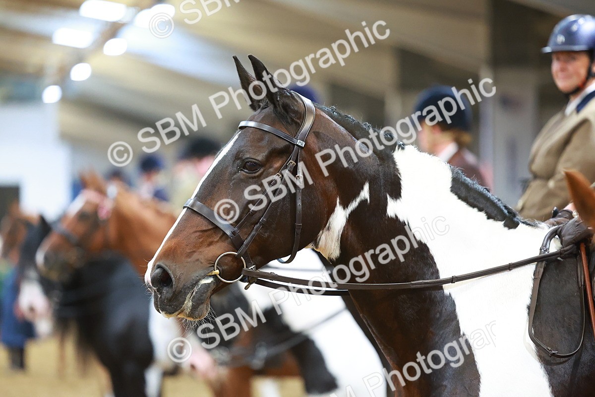SBM_09681 - Class 102 - HOYS Veteran Qualifier - Ridden Veteran