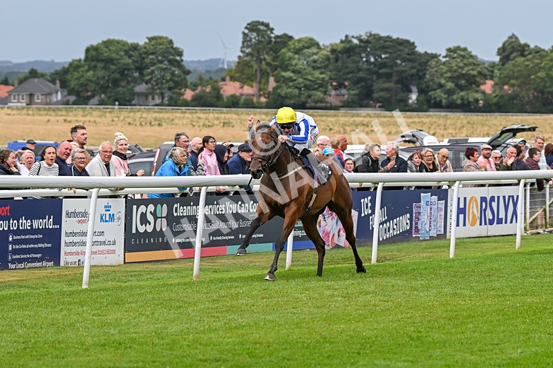 150824-Race 3-Go On Rosie-7855 - Race 3