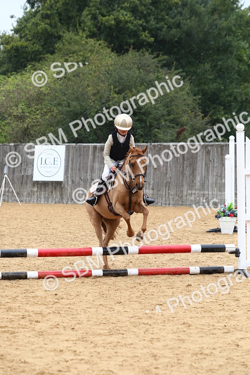 SBM_72030 - J3b - Mini Tour Junior Pony 40cm Championship