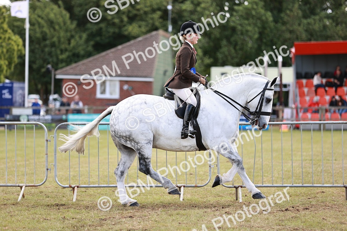 SBM_14128 - Class 85-87 - RIHS Cobs