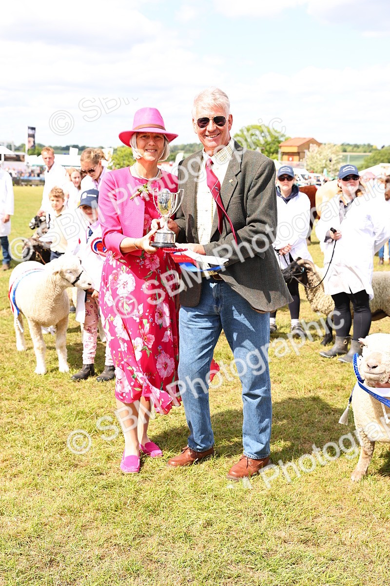 SBM_17009 - Grand Parade