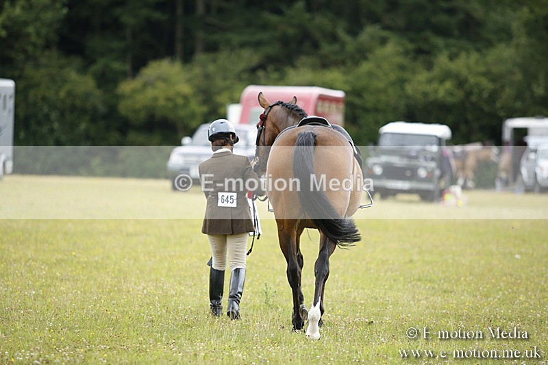 BVR160717-330 - Ring 1 BVRC Show 16/07/17