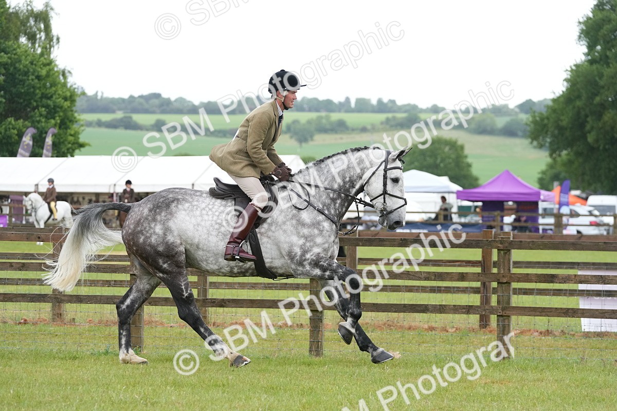 SBM_12707 - Class 97-98 - LIHS BSHA Rising Star Working Show Horse Hunter
