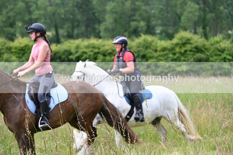 WJ6_8131 - Camera 1 Gallops