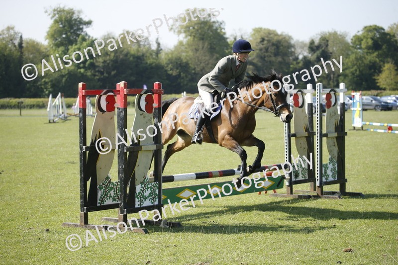 20250427-0374 - Class 12 - Rookie Jumping 40cm