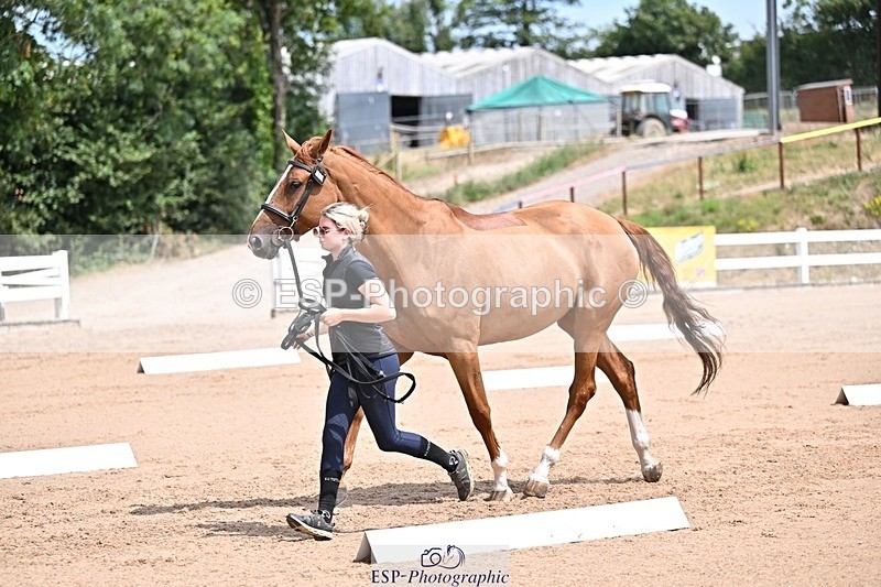 250716-125509-00216 - Trot Up 12.30 to 1.30