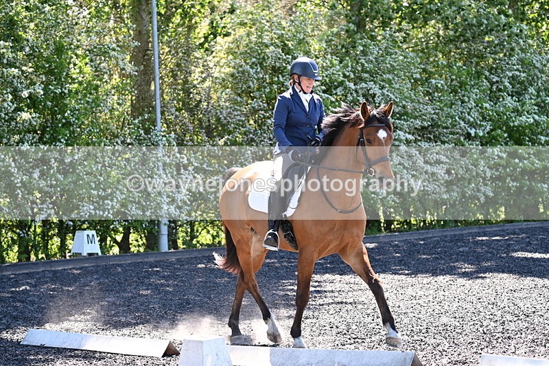 WJ7_9606 - Time 12:10 to 12:21