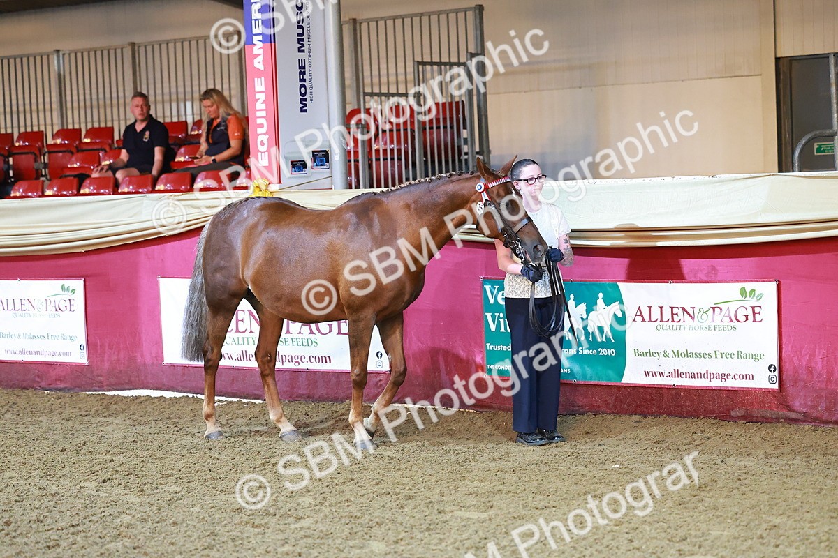 SBM_14683 - Class C - Novelty champ