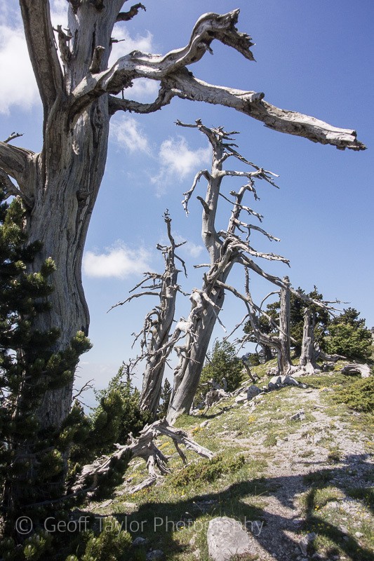 9346 Pollino Massif - Basilicata