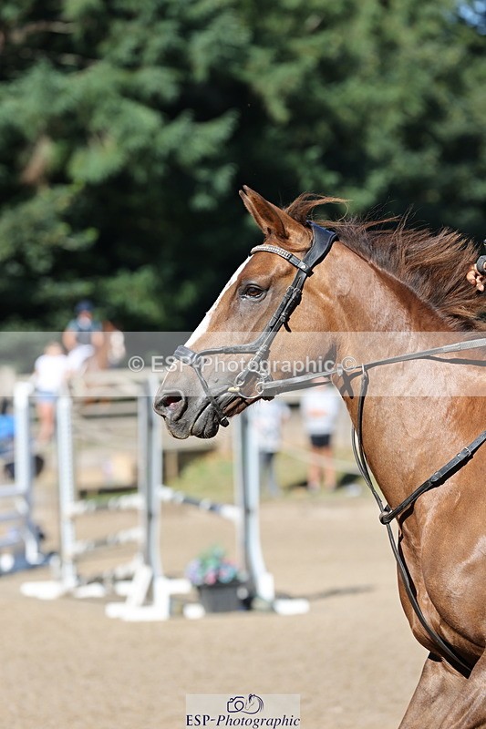 250703A-084859-00119 - Cls 5 85cm Amateur Qualifier