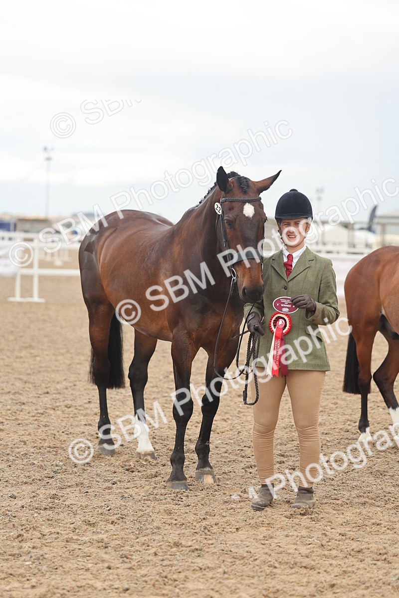 SBM_07940 - Class 28 - IH Veteran Horse