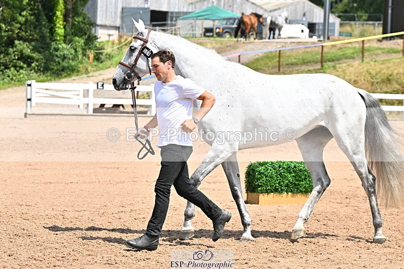 240718A-105311-01663 - Trot Up 1pm to 2pm