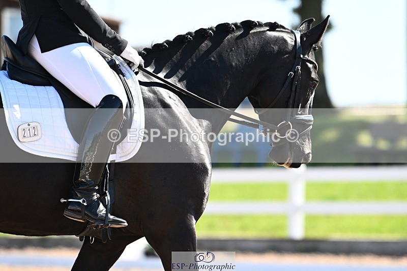 240621A-095902-01663 - Cls 2 BD Prelim 19