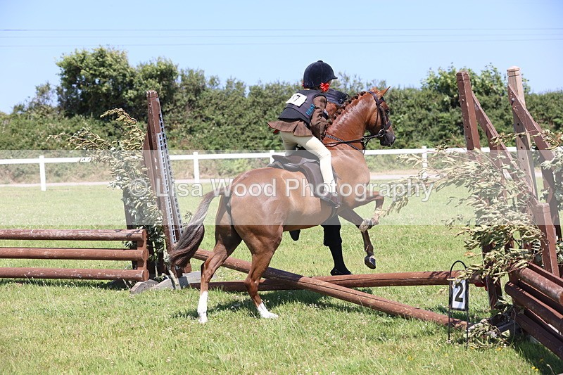 JPP_2182 - Class 20: Tiny Tots Working Hunter Pony