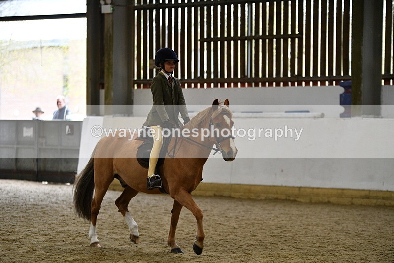 WJ5_7259 - Class 11 Ridden PC - RC Pony