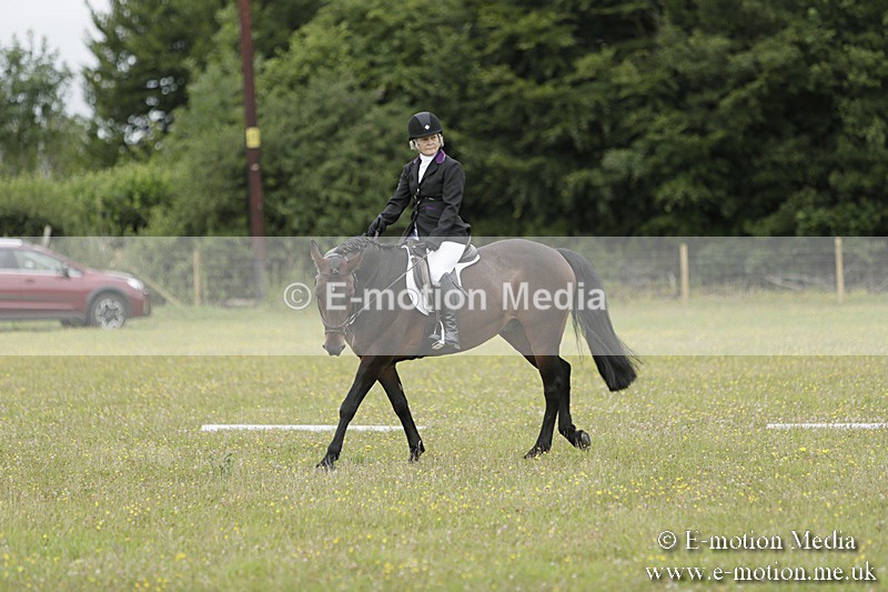 BVR160717-661 - Class 1 & 23a Dressage 16/07/17