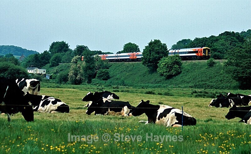 5th June 2010 - Honiton Incline, Devon