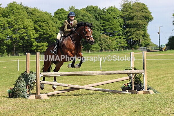 IMG_4697 - Working Hunter