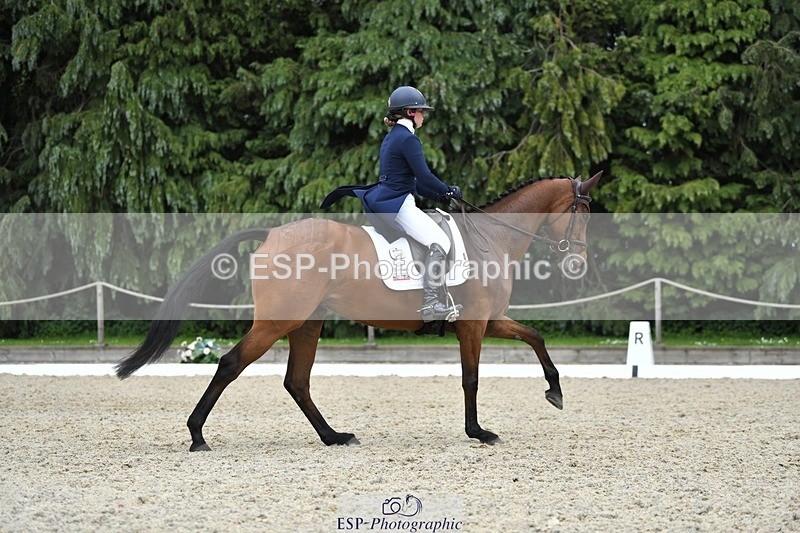 230525-143803-03151 - 322-CHANSON_DU_VILLAGE-Phoebe_Locke-WEDTrotUp+DR