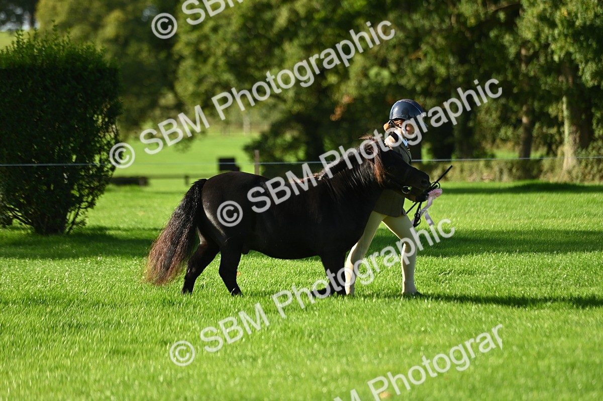 SBM_15818 - S1 - TSR in Hand Horse & Pony Showing