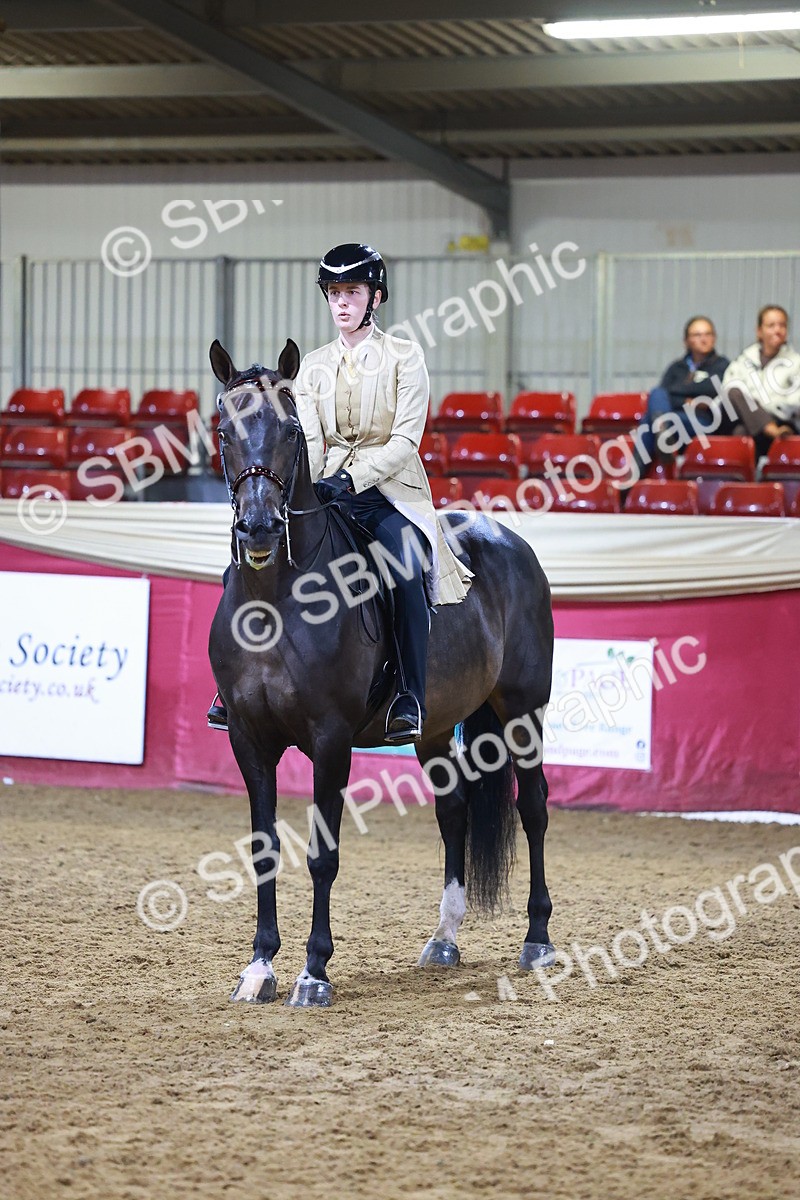SBM_15525 - Class R - Veteran Champ
