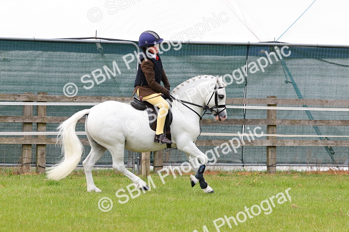 SBM_09501 - Class 44-45 - LIHS BSPS Open Nursery and Cradle Stakes