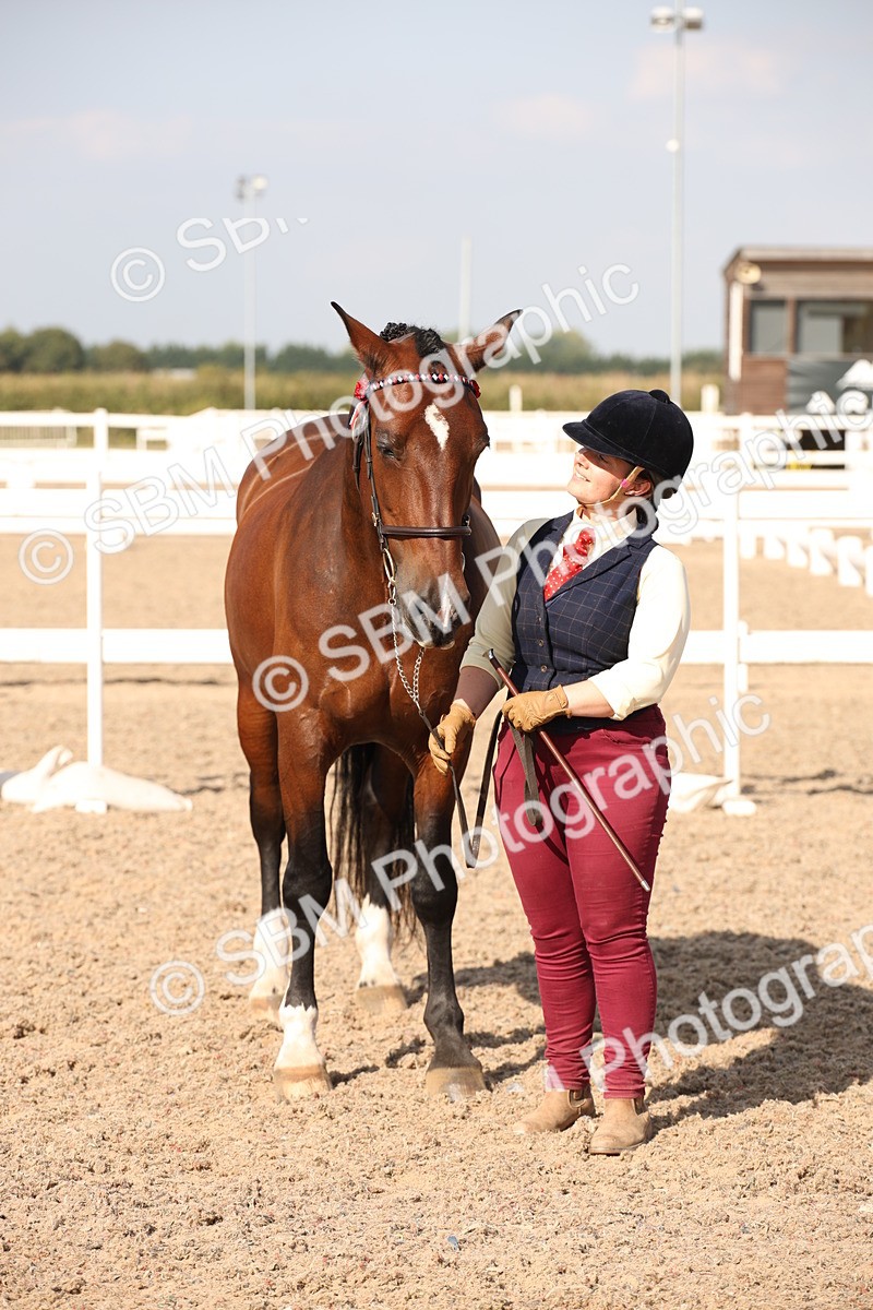 SBM_07403 - Class 26 IH Foreign Breeds -Part bred