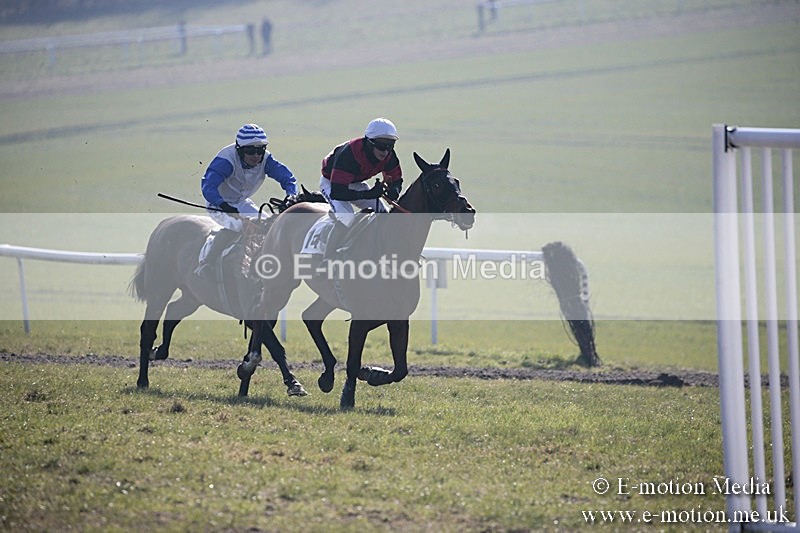 PtP 240218 39 - Vine & Craven Hunt Point-to-Point Barbury racecourse 24/02/18