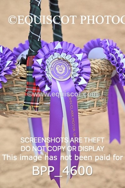 BPP_4600 - CLASS 5 WED Redpost Equestrian Senior Foxhunter/1.20m Open