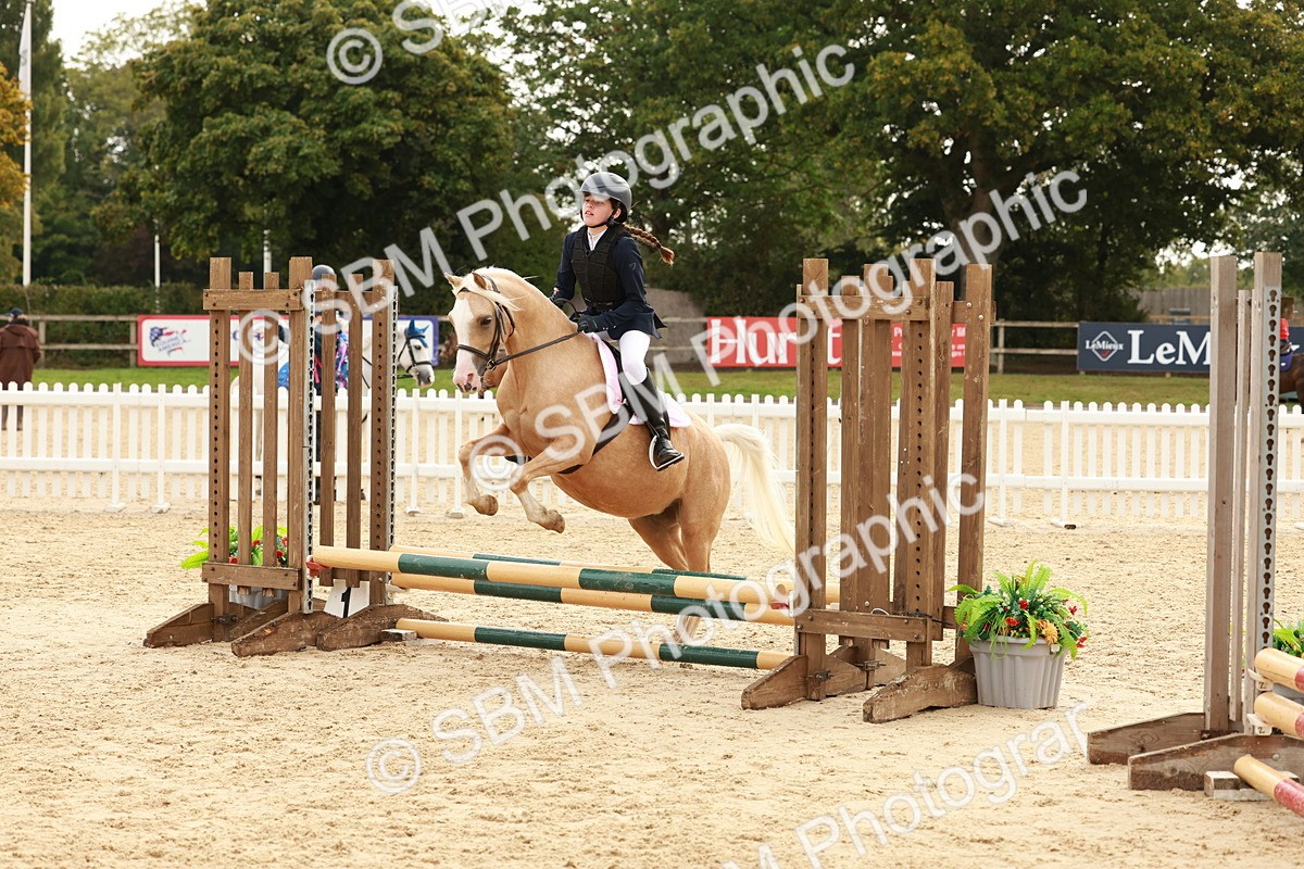 SBM_57800 - J11 - Junior Pony 50cm Championship
