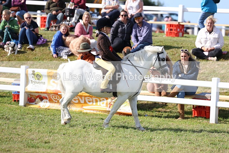 3E7A3785 - Supreme Championship