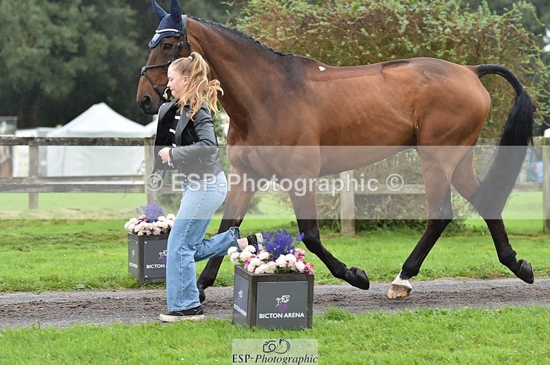 231018-122554-00287 - 035-ZADOK.D-Charlie.Piper-TrotUp