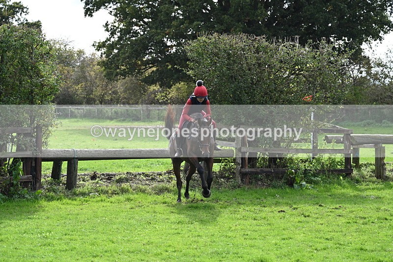 WJ7_9330 - Time 12:55 to 13:13