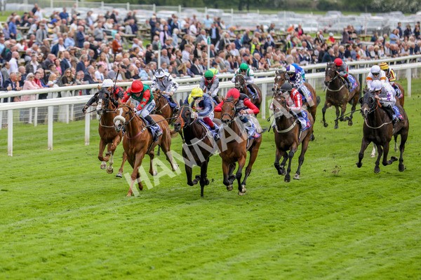 180523-Race 3-Croupier-7332 - Race 3 3.00pm Sky Bet Hambleton Handicap