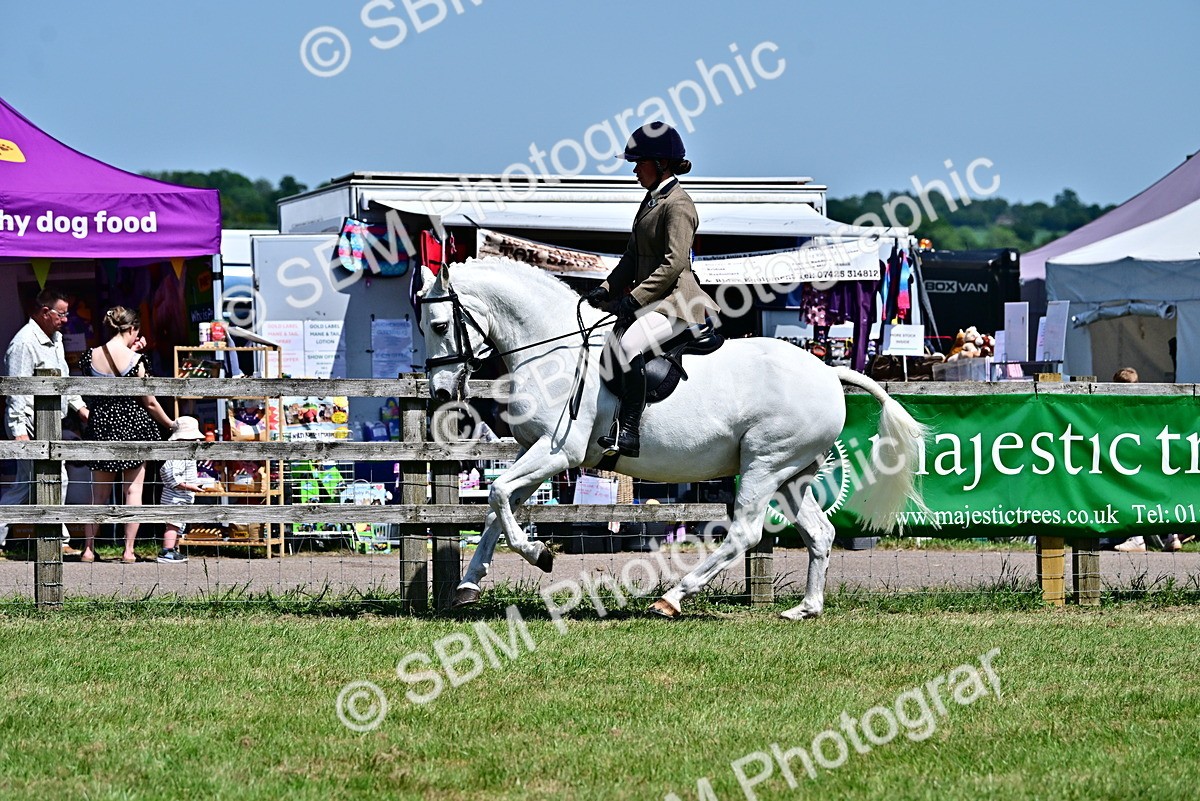 SBM_17550 - Class 95-97 - BSPS LHS Performance Ponies