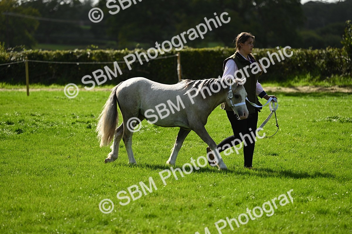 SBM_24948 - S5 - Novice & Newcomer In hand