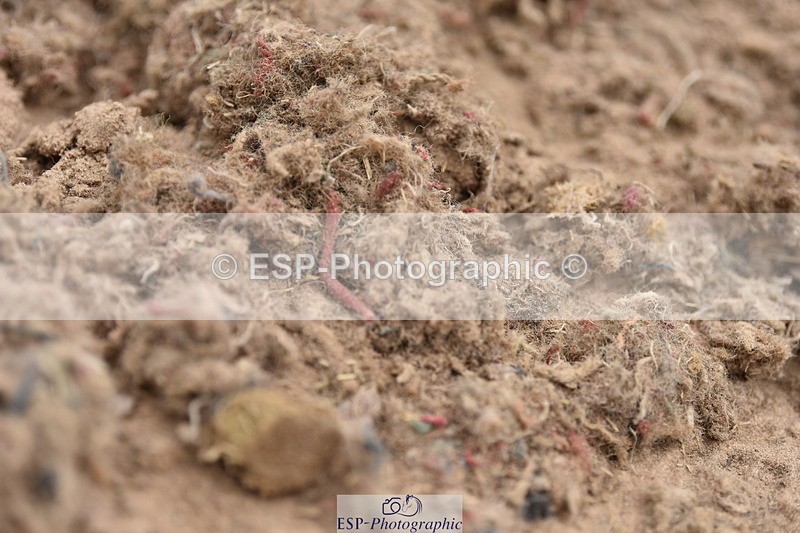 240623A-113226-17195 - Cls 47 BD Novice 22