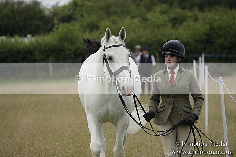 B230619-0227 - Bourne Valley Riding Club Summer Show 23/06/19