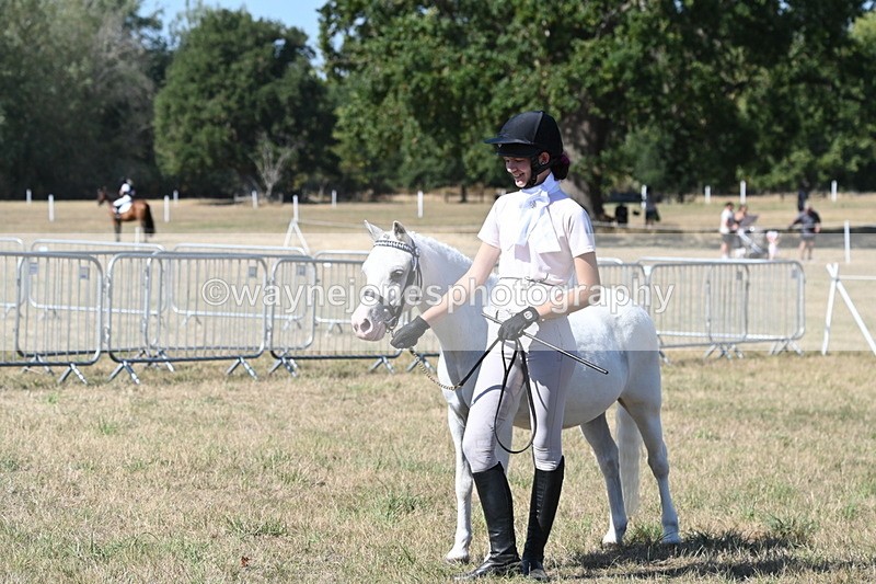 WJ6_9383 - Class 40 Cheekiest Pony/Horse