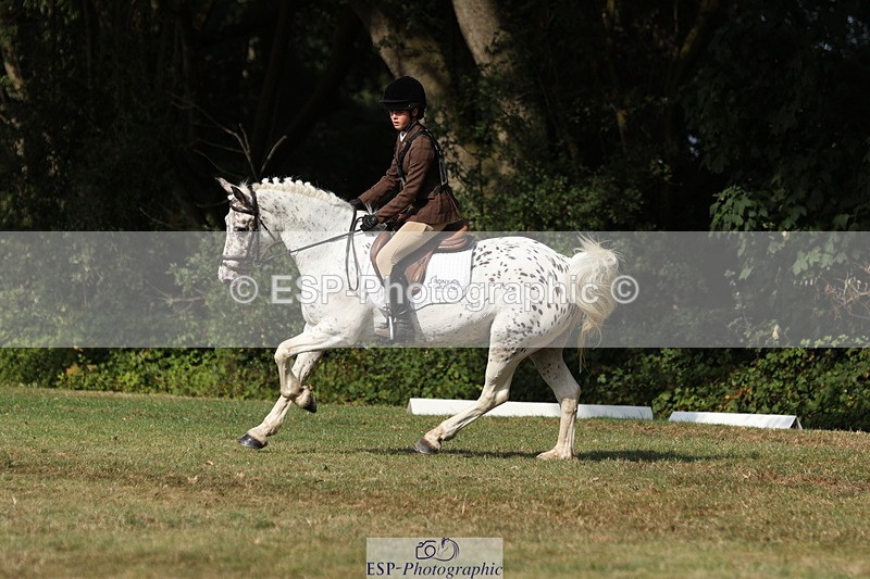 250823A-162402-33424 - PC80 Ride Off