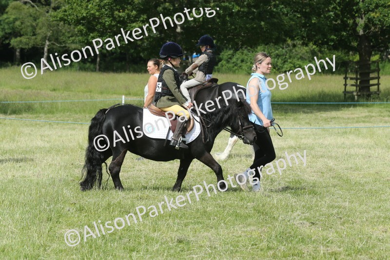 20260614-0174 - Class 1 - 30cm Lead Rein