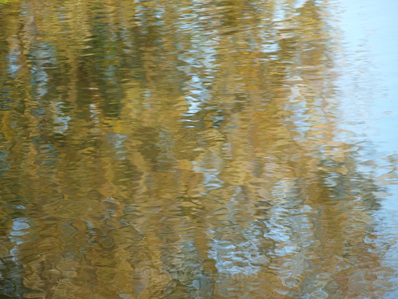  - Water gazing