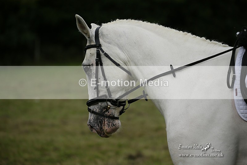 BVRC 120921 474 - Bourne Valley Riding Club UA Dressage & Show Jumping 12/09/21