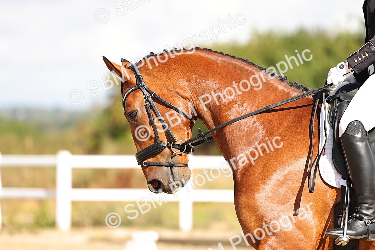 SBM_003642 - Class 1 - p4