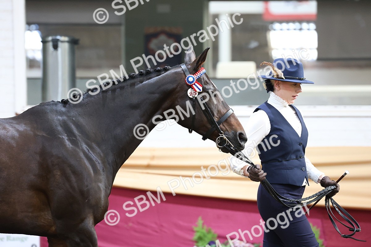 SBM_21830 - Class 901 - Supreme Final - IH  Diamond