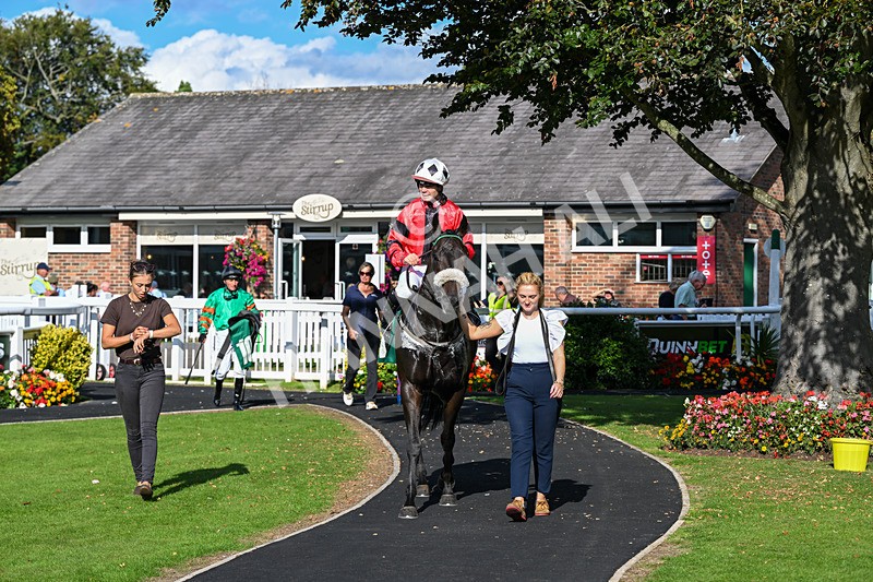 140926-Race 4-Lamlash Bay-7271 - Race 4 3.51pm Sapphire Selling Handicap
