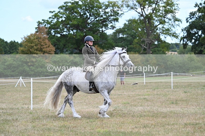 WJ7_4667 - Class 12 Ridden Cob